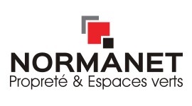 Logo Normanet