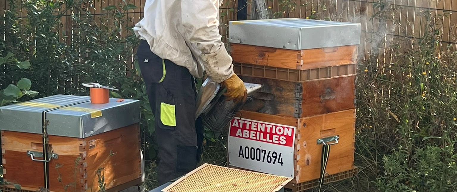 Lire la suite à propos de l’article Biodiversité : les abeilles au cœur de notre démarche